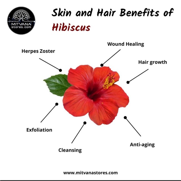 VEGAN GLYCERIN BAR SOAP & SHAMPOO AND CONDITIONER Bundle / Mountain Mom Soap Co - Picture 9 of 10